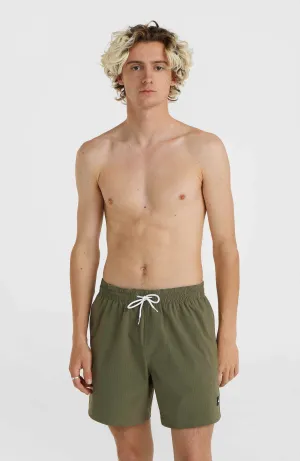 Mix and Match Vert 16\" Swim Shorts | Asher Tree"